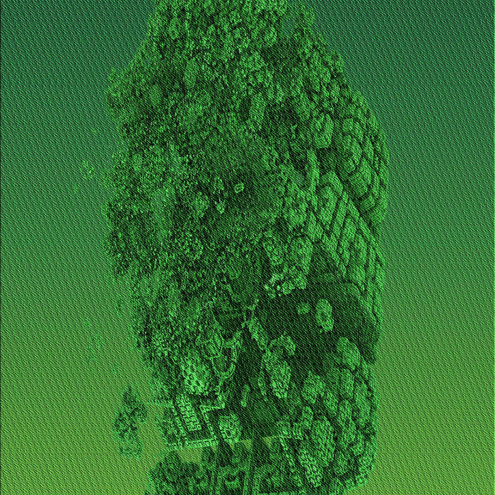 Patterned Deep Emerald Green Rug, pat612grn