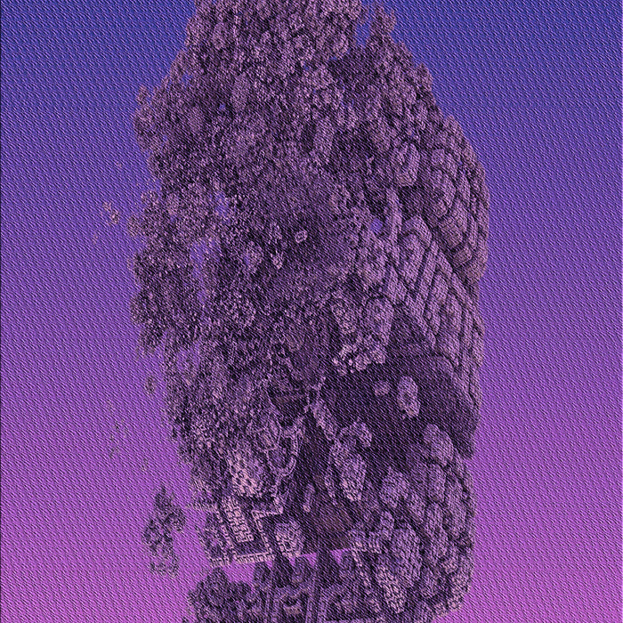 Patterned Bright Purple Rug, pat612pur