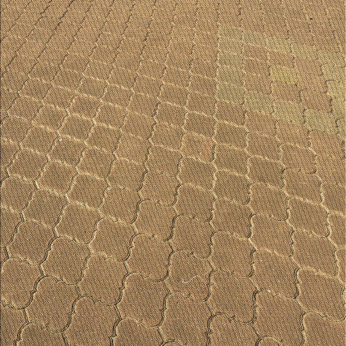 Patterned Light Brown Rug, pat617brn