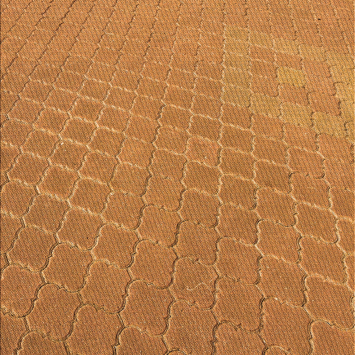 Patterned Dark Orange Rug, pat617org