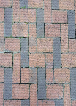 Machine Washable Transitional Pale Silver Gray Rug, wshpat618