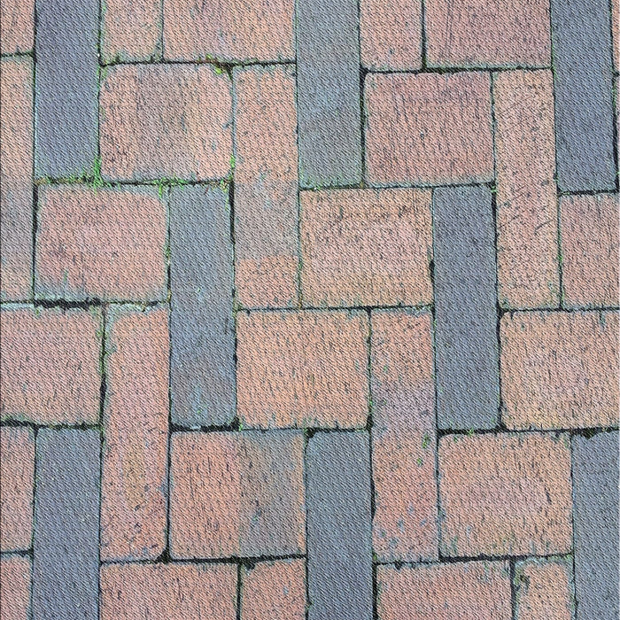 Machine Washable Transitional Pale Silver Gray Rug, wshpat618