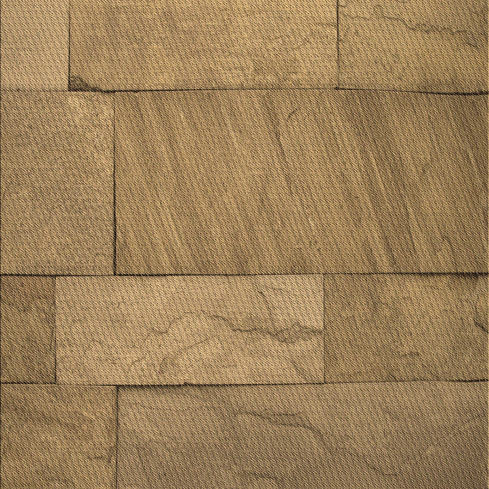 Machine Washable Transitional Light Brown Rug, wshpat619brn