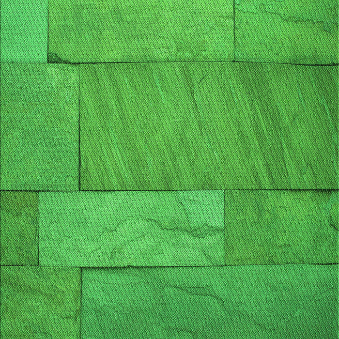 Machine Washable Transitional Lime Green Rug, wshpat619grn