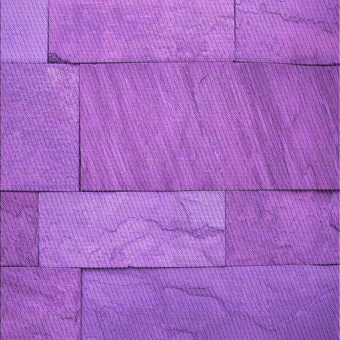 Machine Washable Transitional Purple Rug, wshpat619pur