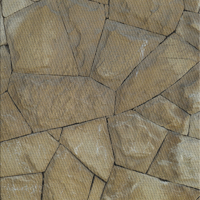 Patterned Dark Brown Novelty Rug, pat620