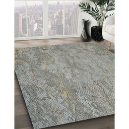 Machine Washable Transitional Carbon Gray Rug in a Family Room, wshpat621
