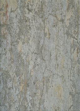 Patterned Carbon Gray Novelty Rug, pat621
