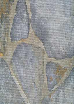 Patterned Silver Gray Novelty Rug, pat622