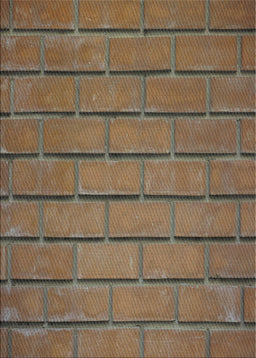 Machine Washable Transitional Camel Brown Rug, wshpat623