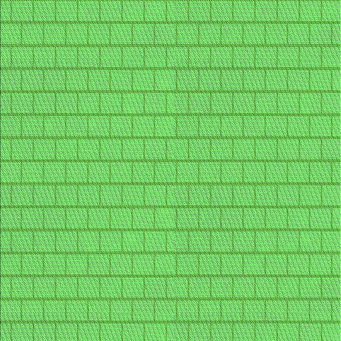 Machine Washable Transitional Neon Green Rug, wshpat627grn