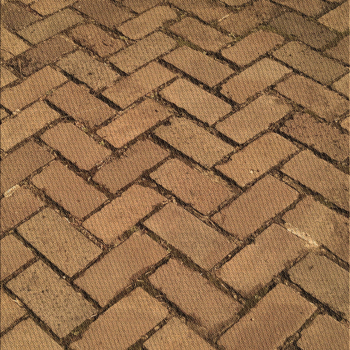 Patterned Saddle Brown Rug, pat628brn