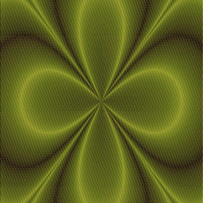 Square Patterned Olive Green Rug in a Living Room, pat63org