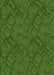 Patterned Dark Lime Green Rug, pat635grn