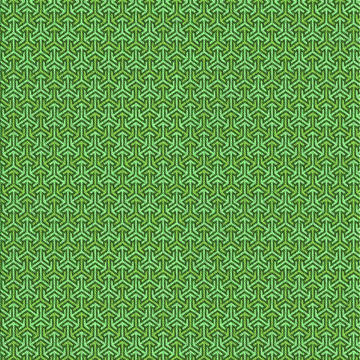 Machine Washable Transitional Green Rug, wshpat637grn