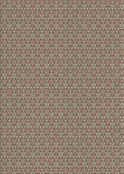 Machine Washable Transitional Dark Brown Rug, wshpat637