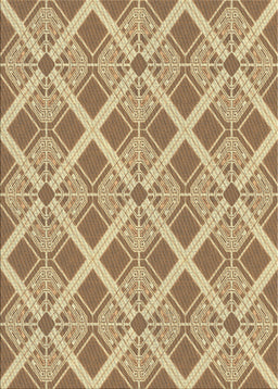 Machine Washable Transitional Brown Gold Rug, wshpat638