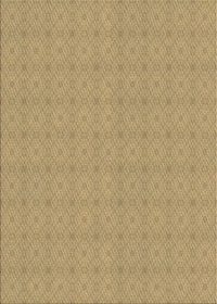 Machine Washable Transitional Light Brown Rug, wshpat639