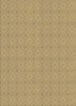 Machine Washable Transitional Light Brown Rug, wshpat639