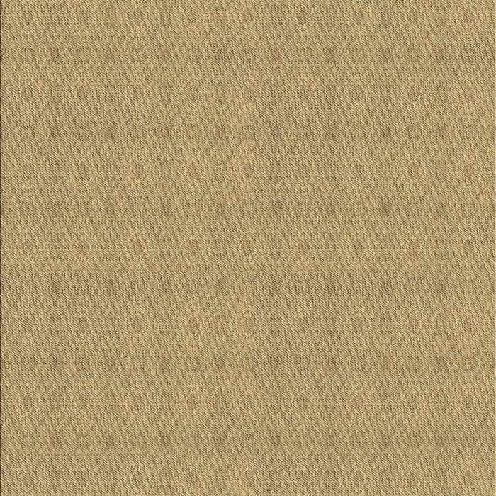 Patterned Light Brown Novelty Rug, pat639