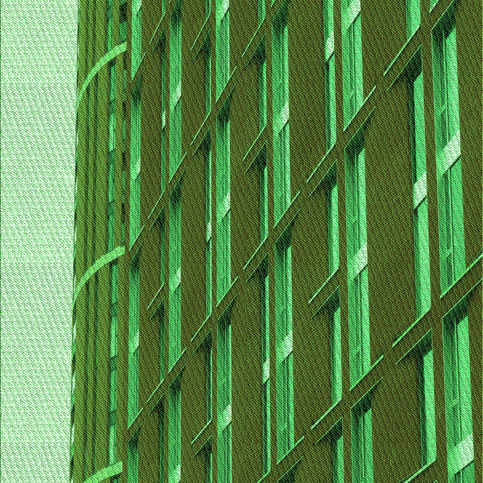 Machine Washable Transitional Lime Green Rug, wshpat640grn