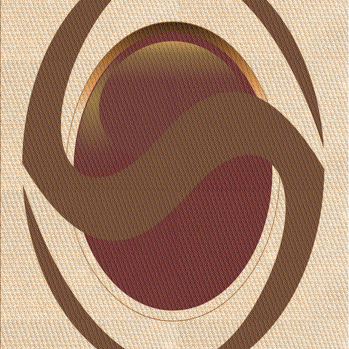 Machine Washable Transitional Mahogany Brown Rug, wshpat650org