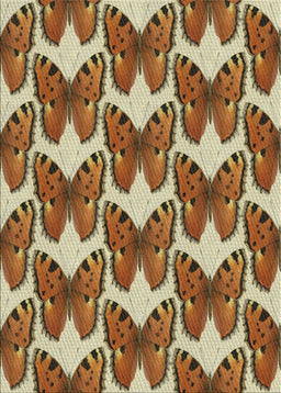 Machine Washable Transitional Saddle Brown Rug, wshpat652