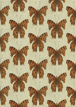 Machine Washable Transitional Saddle Brown Rug, wshpat653