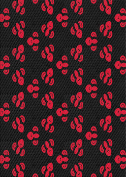 Machine Washable Transitional Red Rug, wshpat661