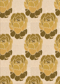 Machine Washable Transitional Brown Gold Rug, wshpat663org