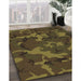 Machine Washable Transitional Bakers Brown Rug in a Family Room, wshpat665brn