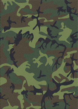 Patterned Mid Gray Novelty Rug, pat665