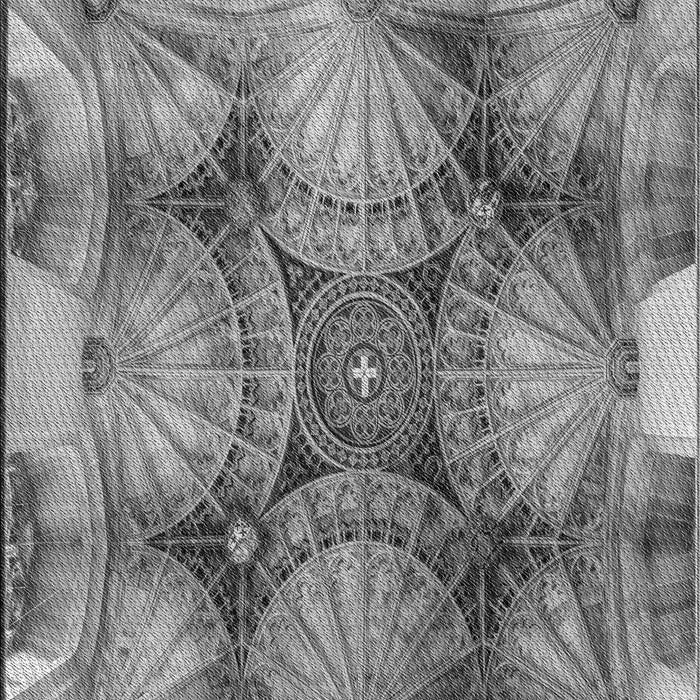 Patterned Carbon Gray Rug, pat667gry