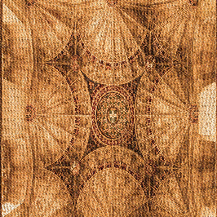 Patterned Orange Rug, pat667org