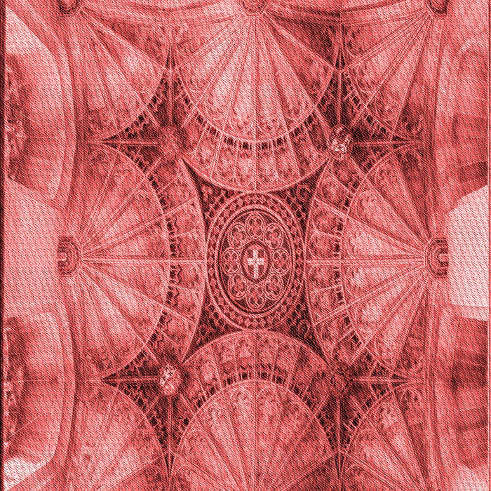 Machine Washable Transitional Red Rug, wshpat667rd