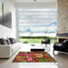 Machine Washable Transitional Saffron Red Rug in a Kitchen, wshpat670org