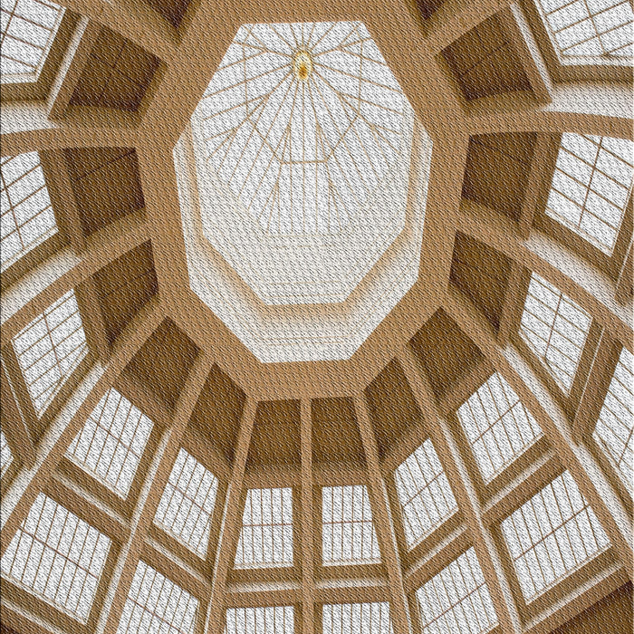 Patterned Saddle Brown Novelty Rug, pat671