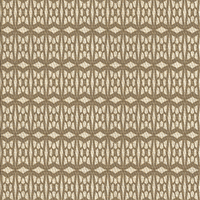 Machine Washable Transitional Brown Rug, wshpat673brn