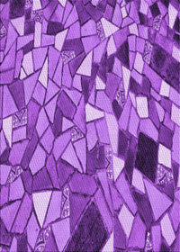 Machine Washable Transitional Purple Rug, wshpat678pur