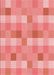 Machine Washable Transitional Light Salmon Pink Rug, wshpat684rd