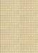 Machine Washable Transitional Khaki Gold Rug, wshpat691brn