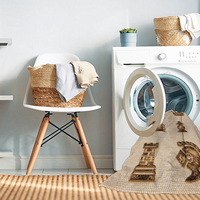 Machine Washable Transitional Bronze Brown Rug in a Washing Machine, wshpat699org