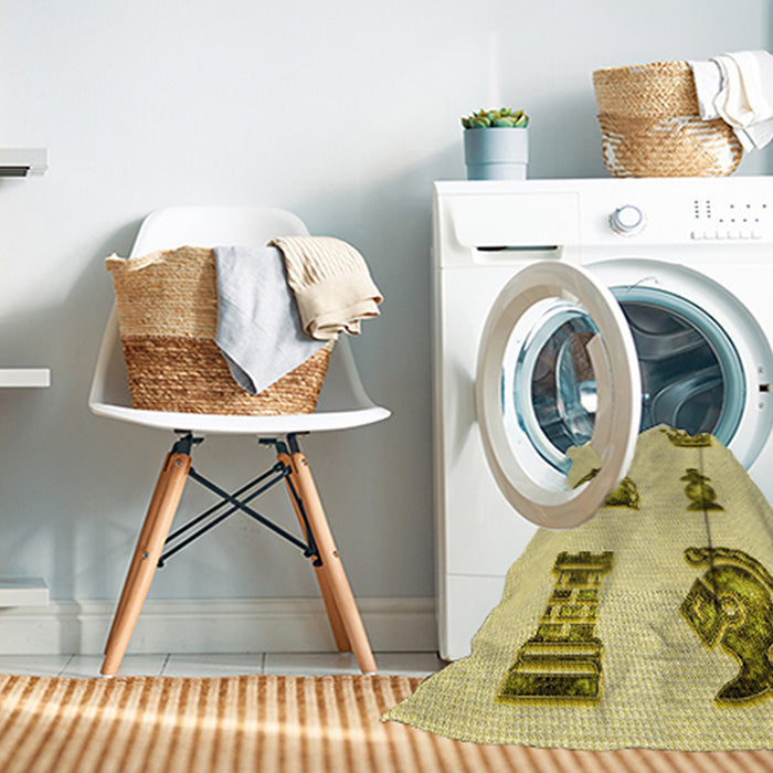 Machine Washable Transitional Brown Rug in a Washing Machine, wshpat699yw