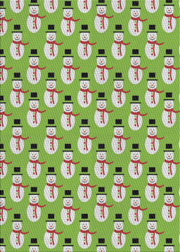 Machine Washable Transitional Green Rug, wshpat716