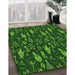 Machine Washable Transitional Dark Forest Green Rug in a Family Room, wshpat725grn