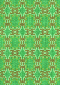 Machine Washable Transitional Neon Green Rug, wshpat729grn