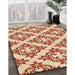 Machine Washable Transitional Khaki Gold Rug in a Family Room, wshpat737org