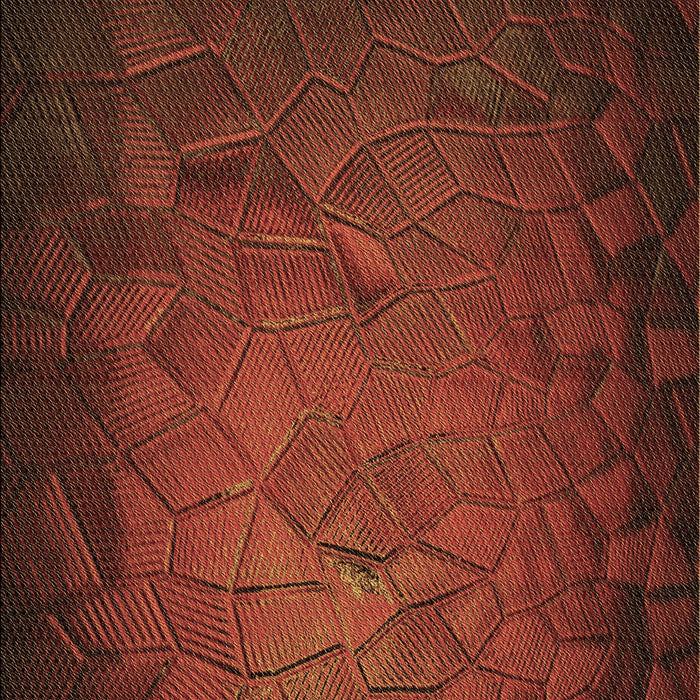 Patterned Mahogany Brown Rug, pat738brn