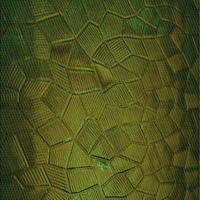 Patterned Dark Forest Green Rug, pat738grn