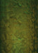 Machine Washable Transitional Dark Forest Green Rug, wshpat738grn